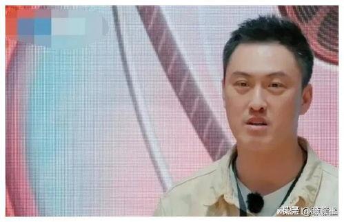 娱乐圈吃瓜爆料杨迪,揭秘背后真相与争议