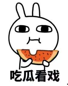 娱乐吃瓜君放大镜,揭秘娱乐圈幕后真相